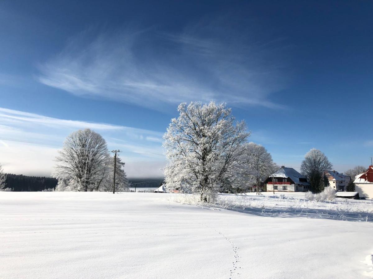 Fontana Lipno Hotell Černá v Pošumaví Exteriör bild