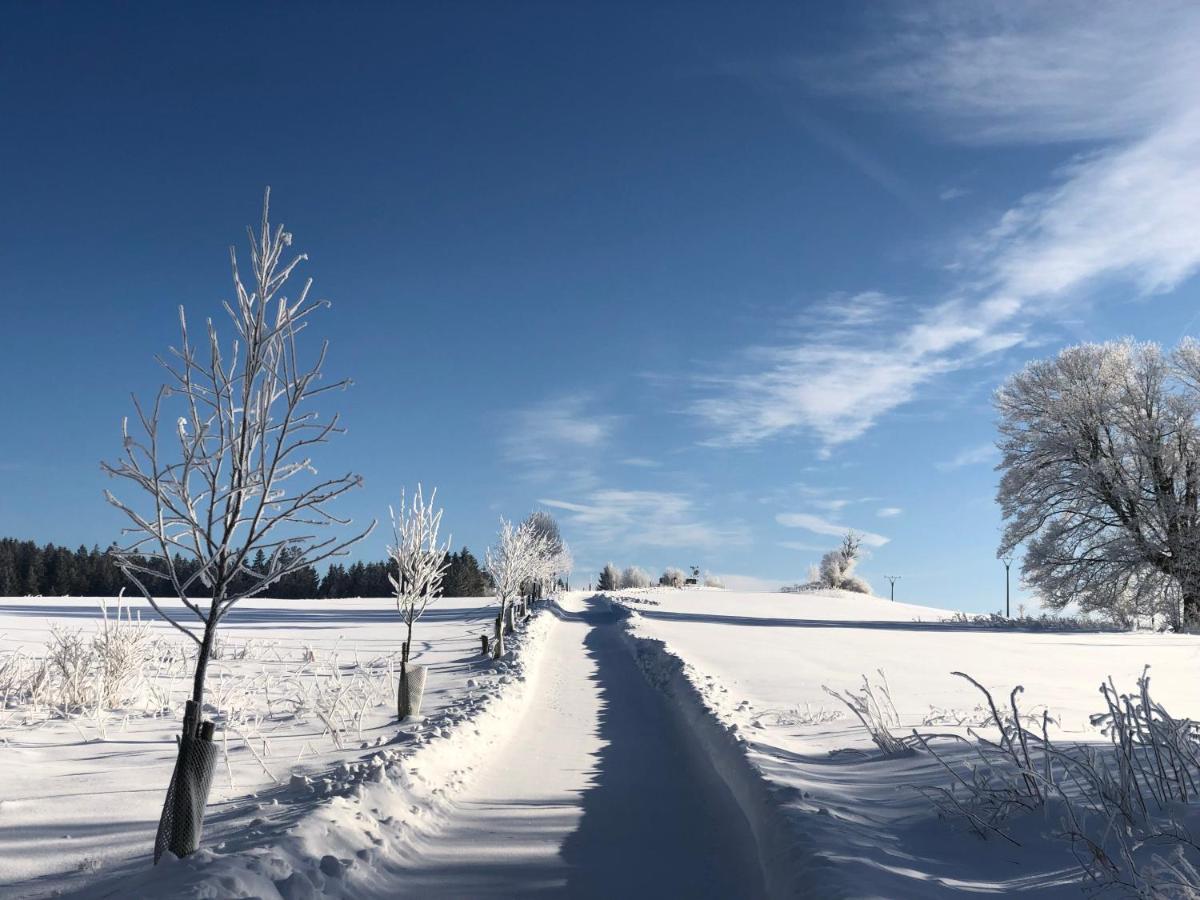 Fontana Lipno Hotell Černá v Pošumaví Exteriör bild
